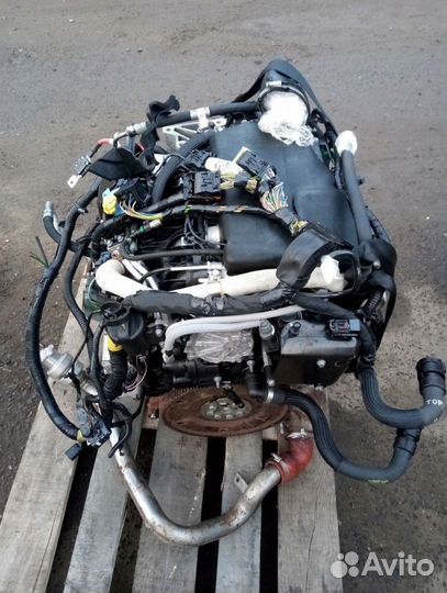 Двигатель Land Rover Freelander Evoque 2.2 D 224DT