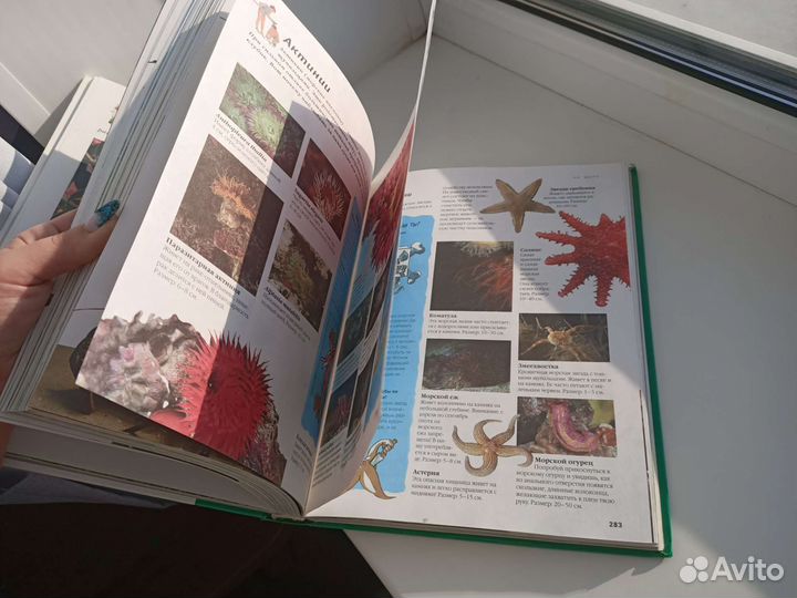 Энциклопедии природы и географии