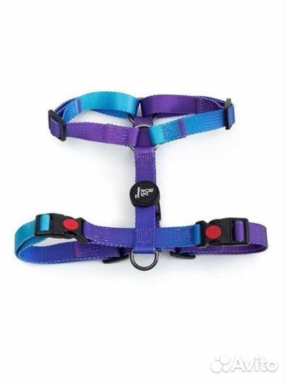 Шлейка для собак анатомическая miamorpets