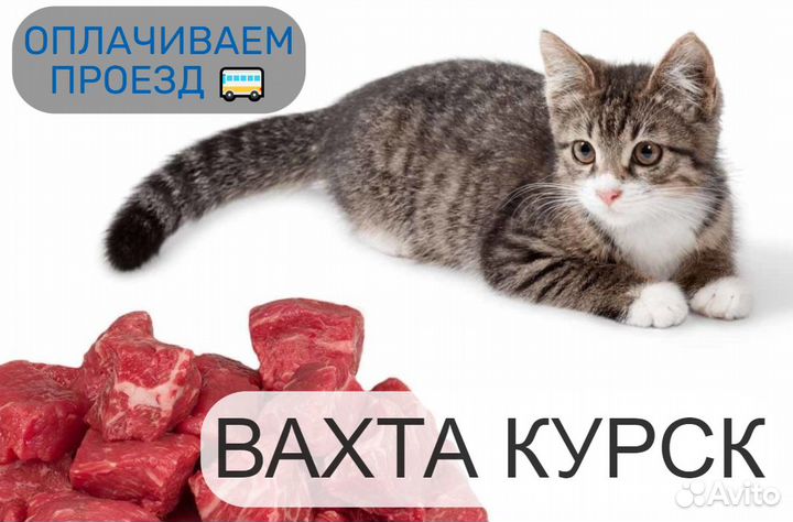 Купим билет.Работа вахтой сотрудниками производств