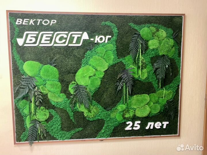 Мох стабилизированный.Озеленение.Декор.Фитостена