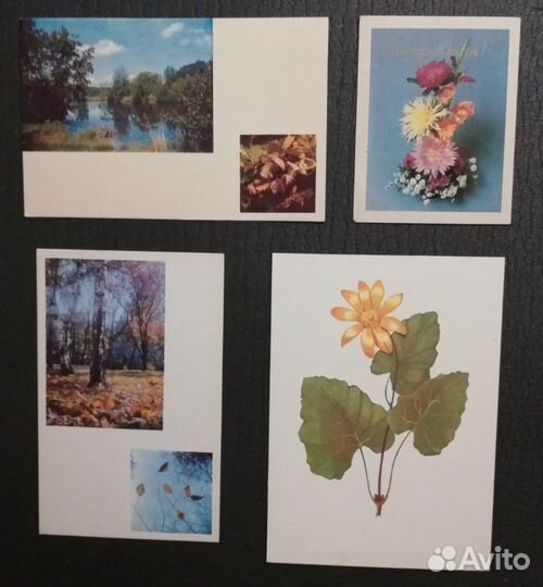 Советские открытки (чистые)