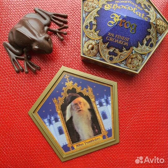 Шоколадная Лягушка из Гарри Поттера