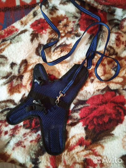 Шлейка Gamma для грызунов