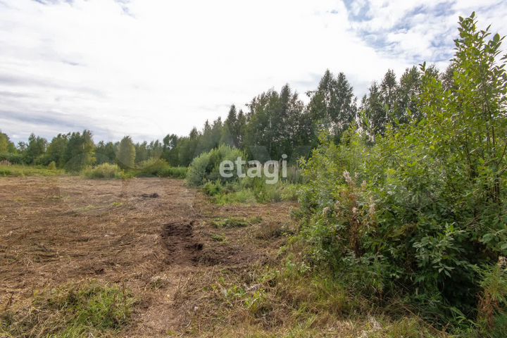 Участок 10 сот. (СНТ, ДНП)