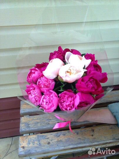 Пионы букет