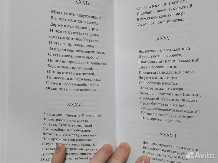 А. С. Пушкин. Евгений Онегин в новом переплёте