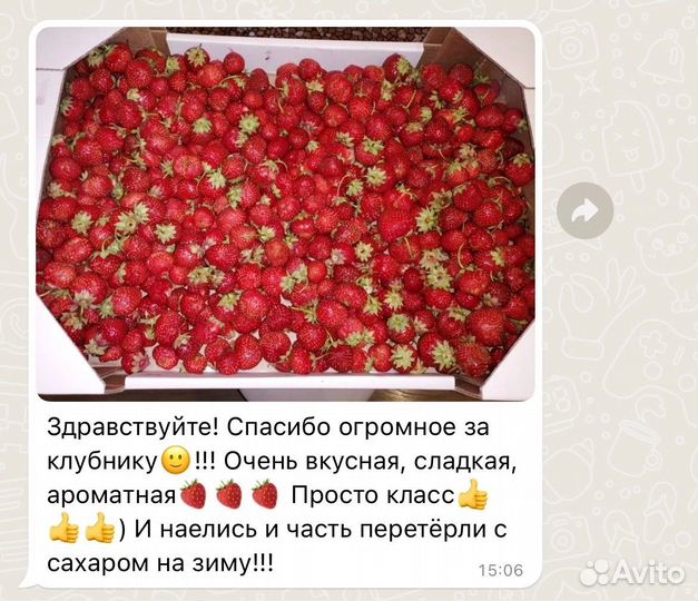 Клубника свежая предзаказ