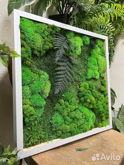 Готовые картины из мха