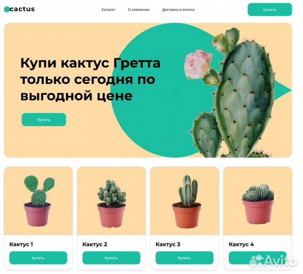 Ретушь фотографий и монтаж видео
