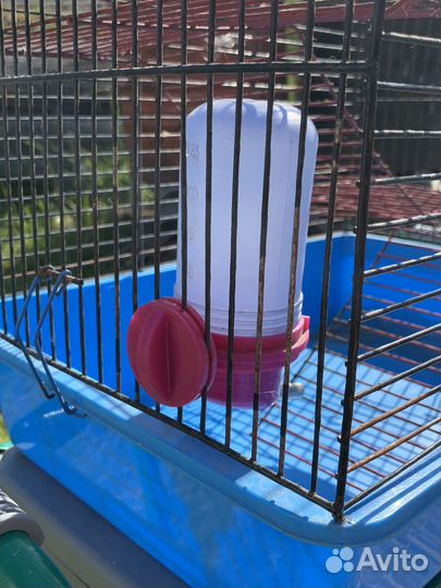 Клетка для грызунов