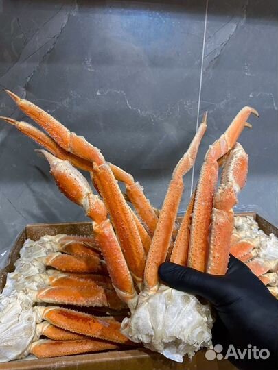 Клешни краба стригуна 2L