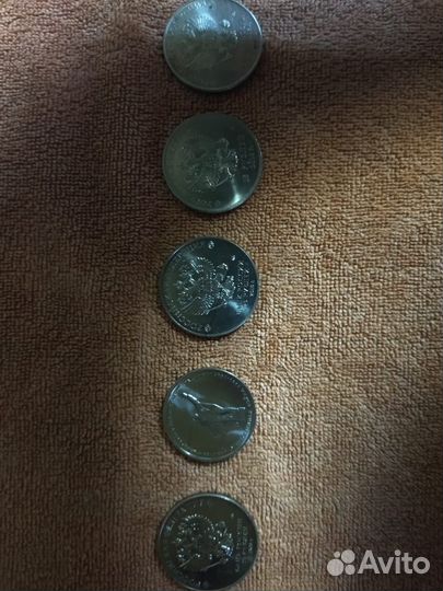 Монеты колекционирование