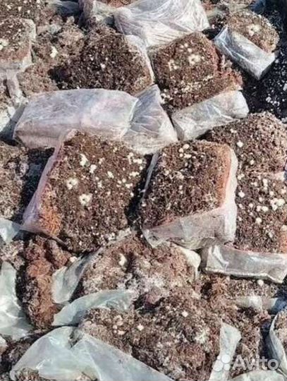 Компост для огорода, удобрение, подкормка