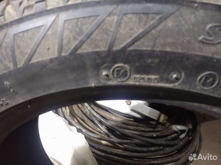 Bridgestone Blizzak DM-V2 205/55 R16