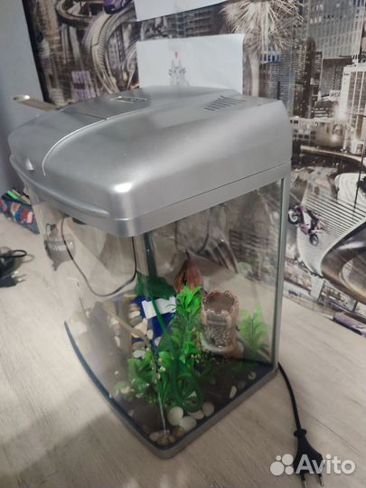 Аквариум