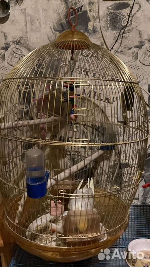 Клетки для попугаев и грызунов