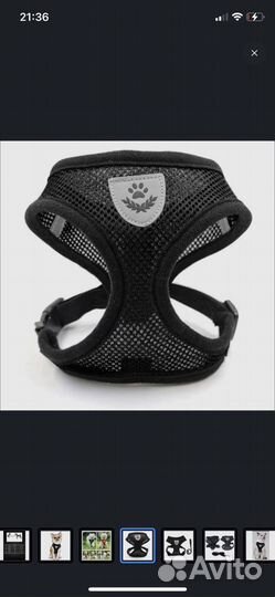 Дождевик для маленькой собаки