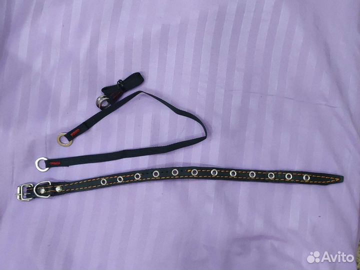 Ошейник для маленькой собаки