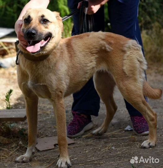 Заберите меня домой