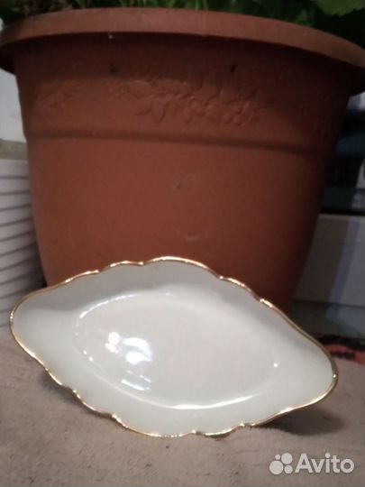 Шпротница фарфоровая