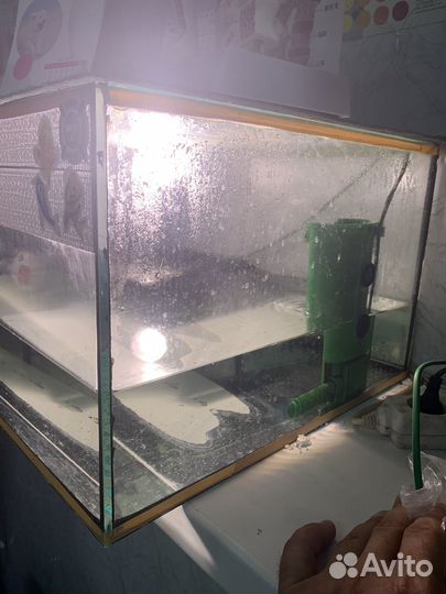 Аквариум для красноухой черепахи