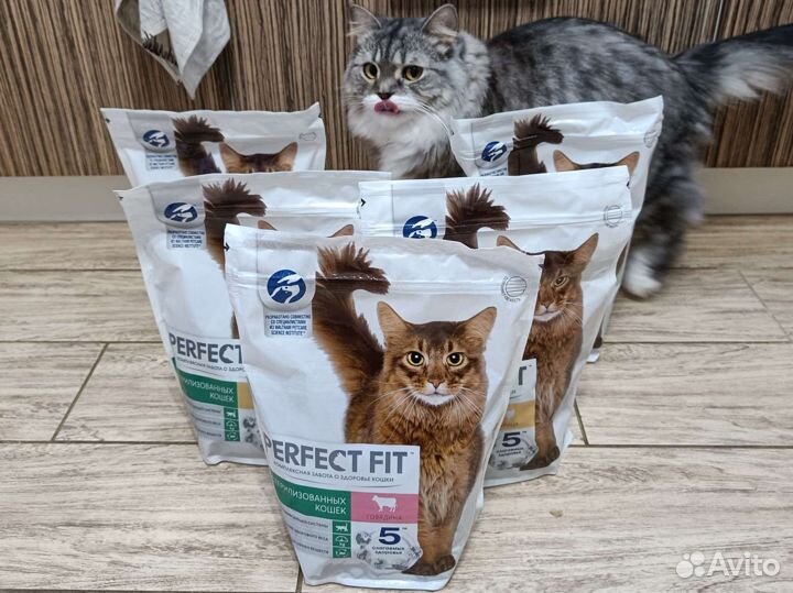 Сухой корм для кошек