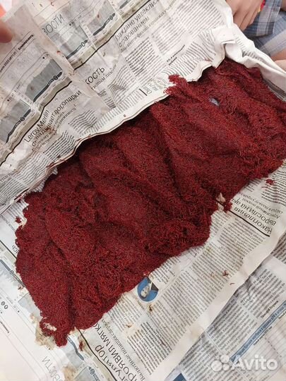 Замороженные и живые корма для аквариумных рыб