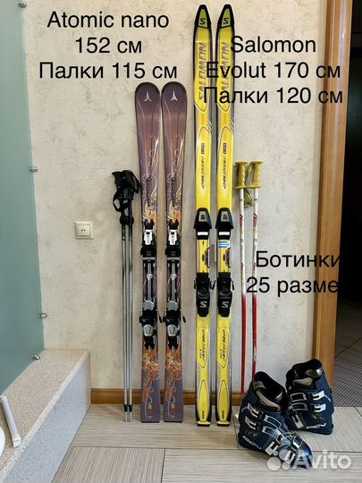Горные лыжи