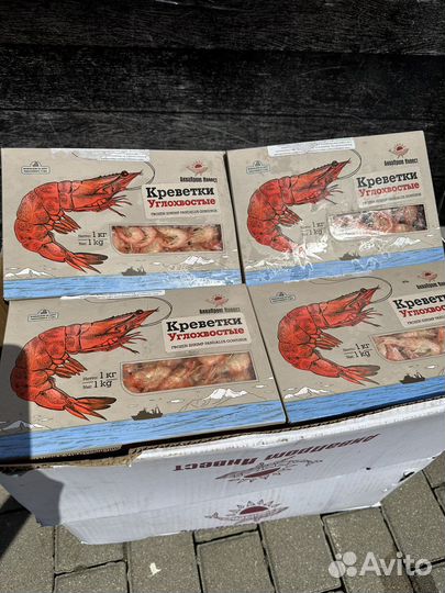 Креветка углохвостая