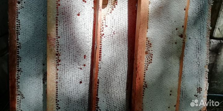 Свежий мед и мед в сотах