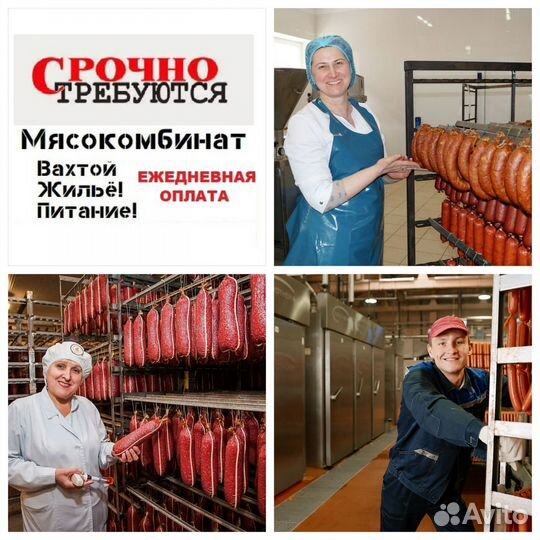 Разнорабочие Вахта с проживанием Ежедневная оплата