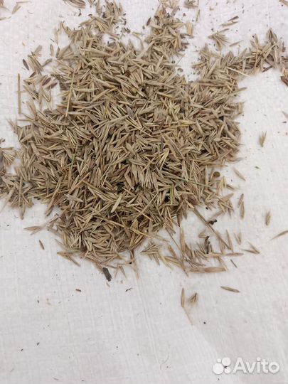 Костёр+ житняк