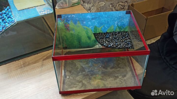 Террариум для красноухой черепахи