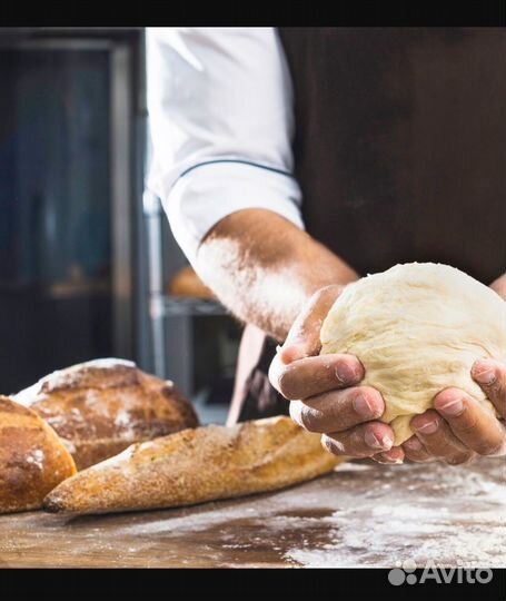 Пекарь