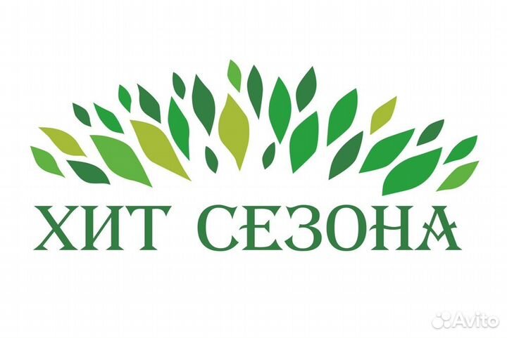 Продавец-консультант