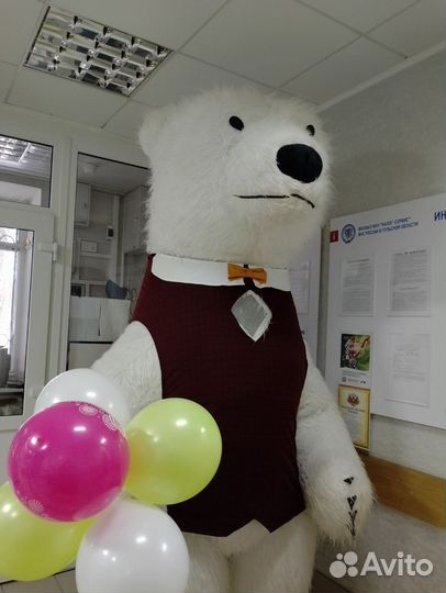 Белый медведь. Экспресс поздравление. Аниматор
