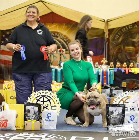 Хендлер / Кинолог