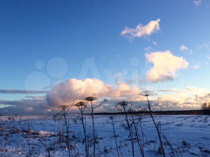 Участок 43 сот. (ИЖС)