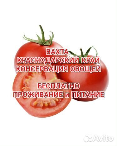 Вахта для пенсионеров новый хостел питание муж/жен