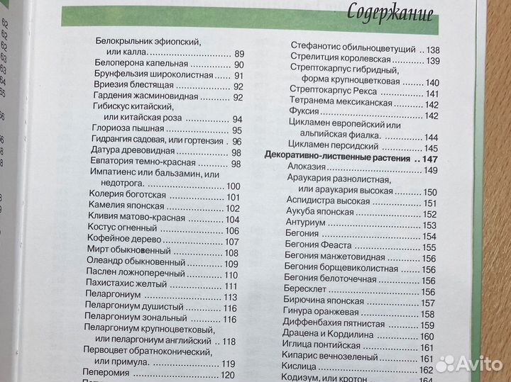 Энциклопедия комнатных растений