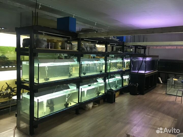 Аквариумы