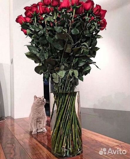 Высокие розы Гигантские розы Доставка цветов