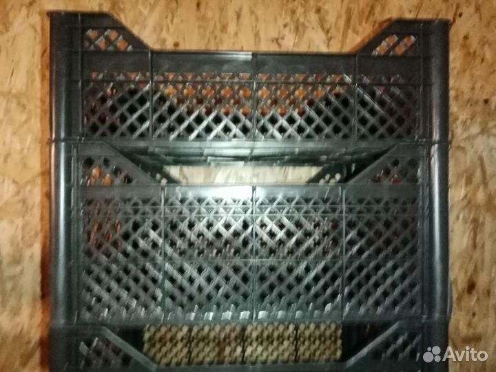 Корзина/ящик пластиковый