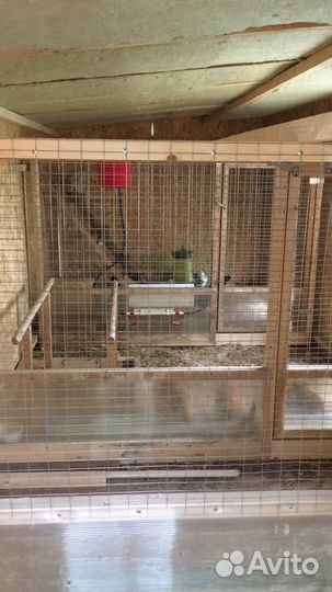 Строительство птичников и вольеров для птиц