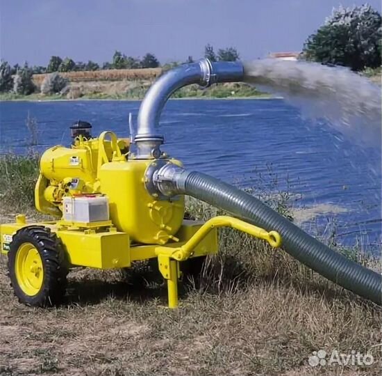 Откачка воды аренда мотопомпы