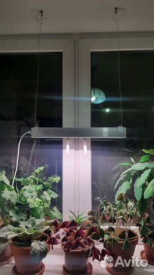 Светильник Фито на подвесе, 35Вт (полный спектр)