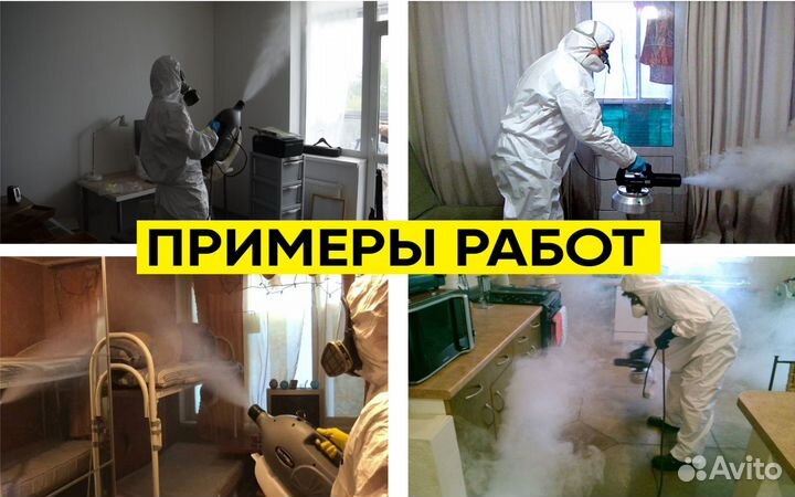 Дезинфекция, дезинсекция уничтожение тараканов