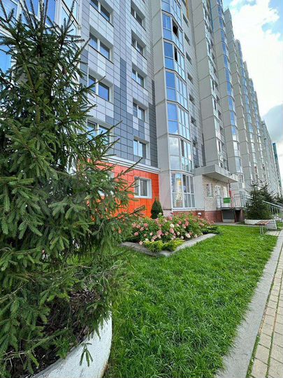 1-к. квартира, 48 м², 14/18 эт.