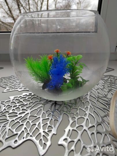 Аквариум 3 л